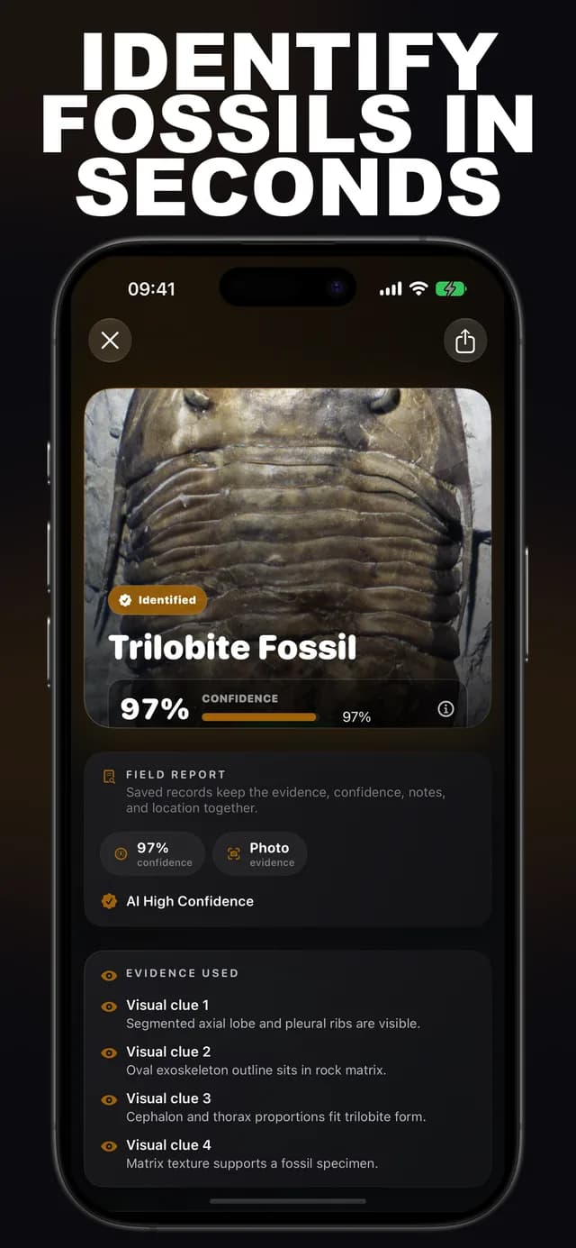Fossilr AI: Fossil ID screenshot 1: fossil identification