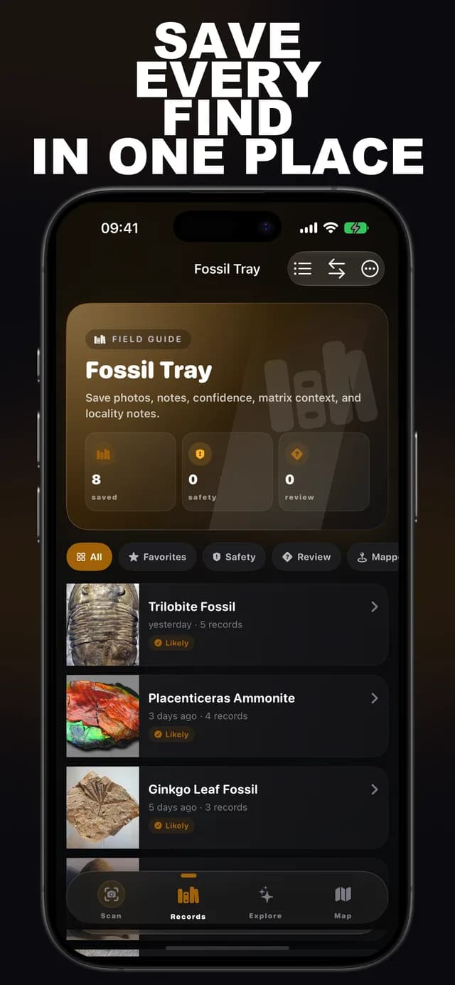 Fossilr AI: Fossil ID screenshot 2: fossil identification