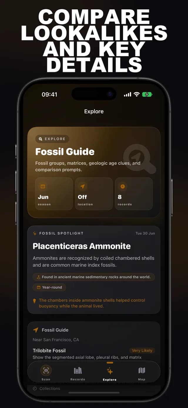 Fossilr AI: Fossil ID screenshot 3: fossil identification
