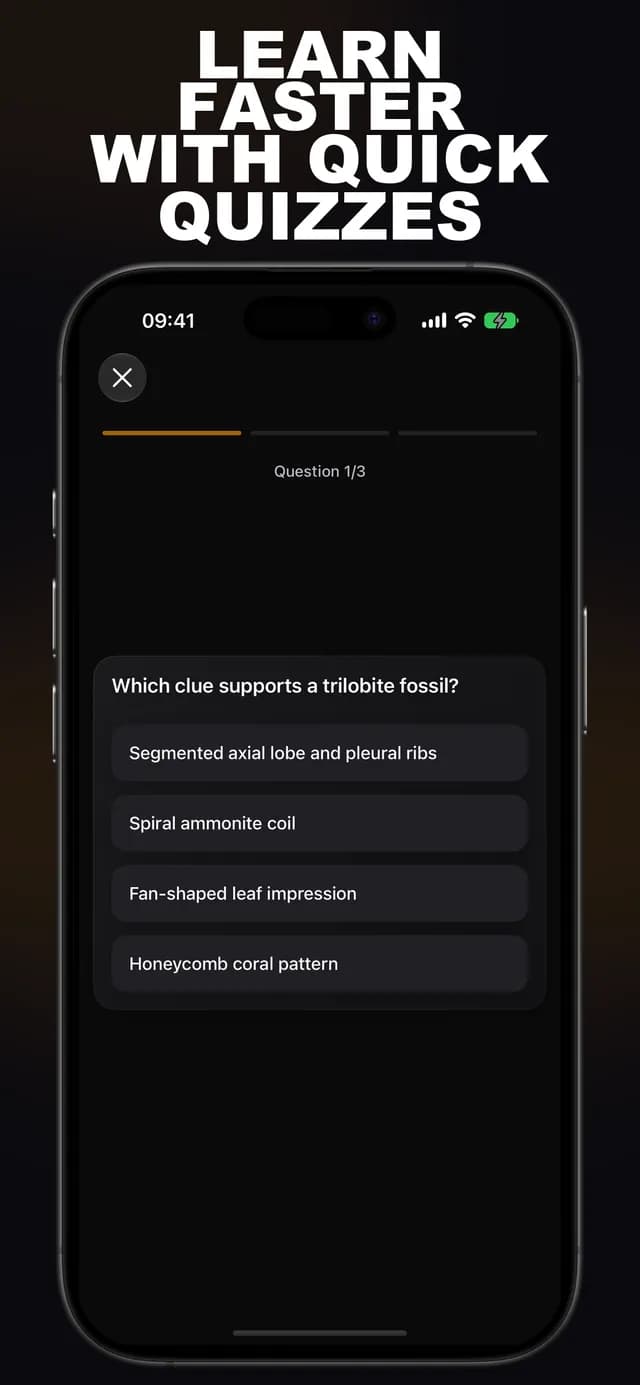 Fossilr AI: Fossil ID screenshot 6: fossil identification