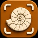 Fossilr app icon