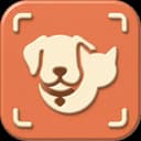 Pawz app icon