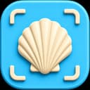 Shellr app icon