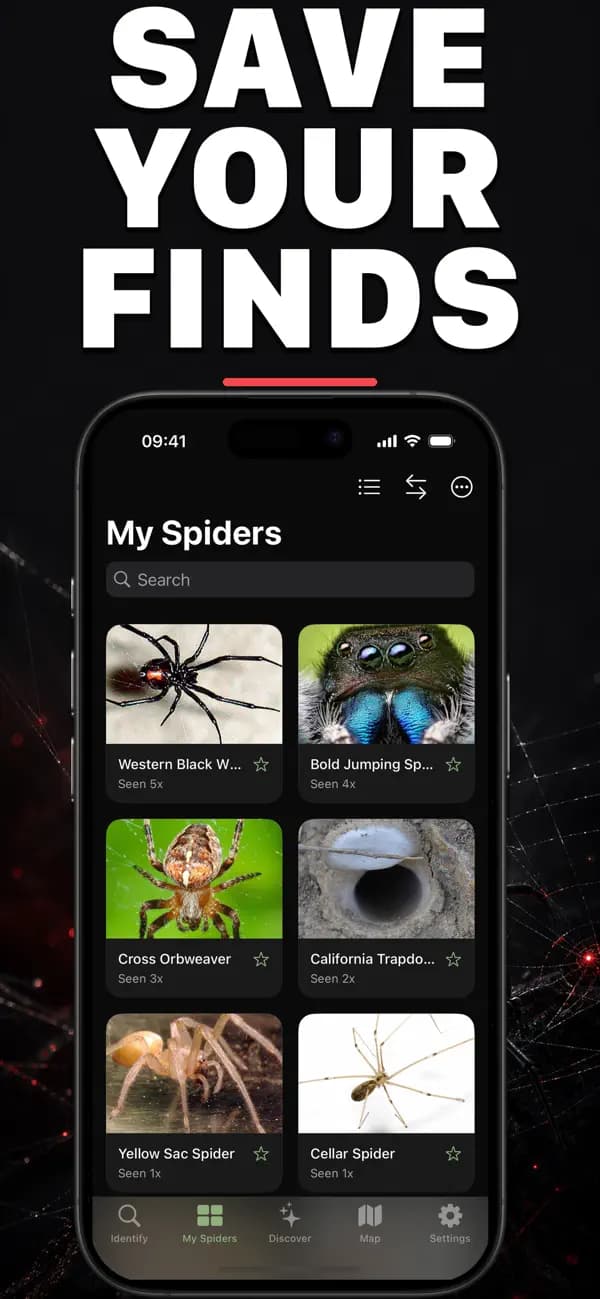 Spidr AI: Spider Identifier screenshot 2 — spider identification