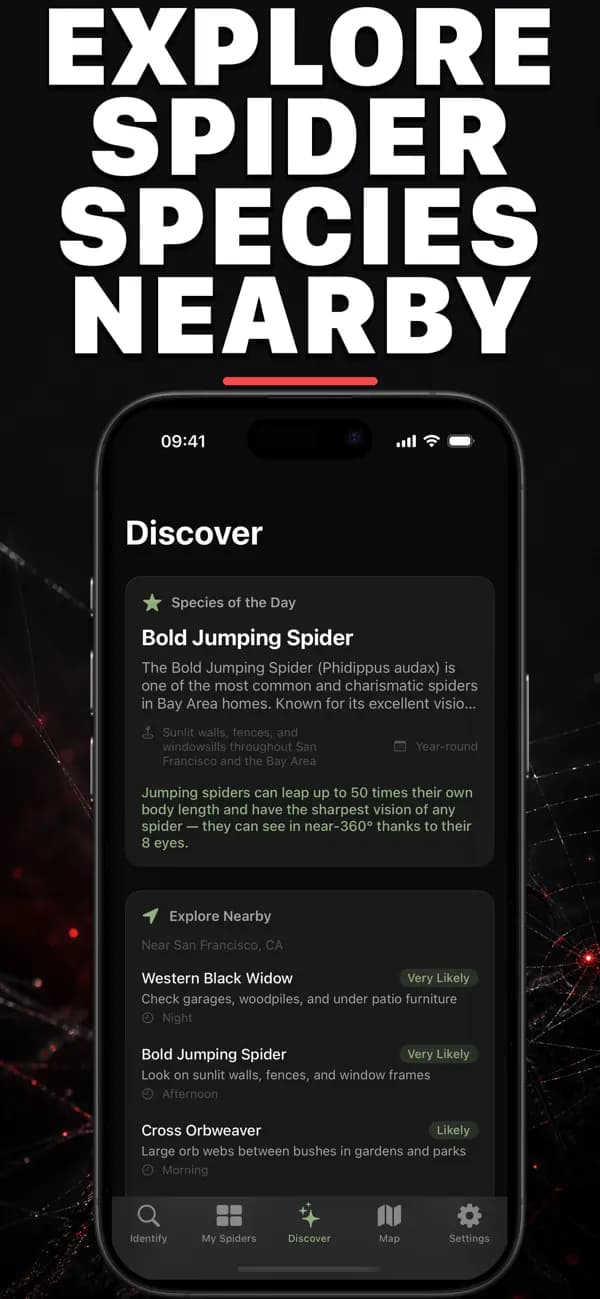Spidr AI: Spider Identifier screenshot 3 — spider identification