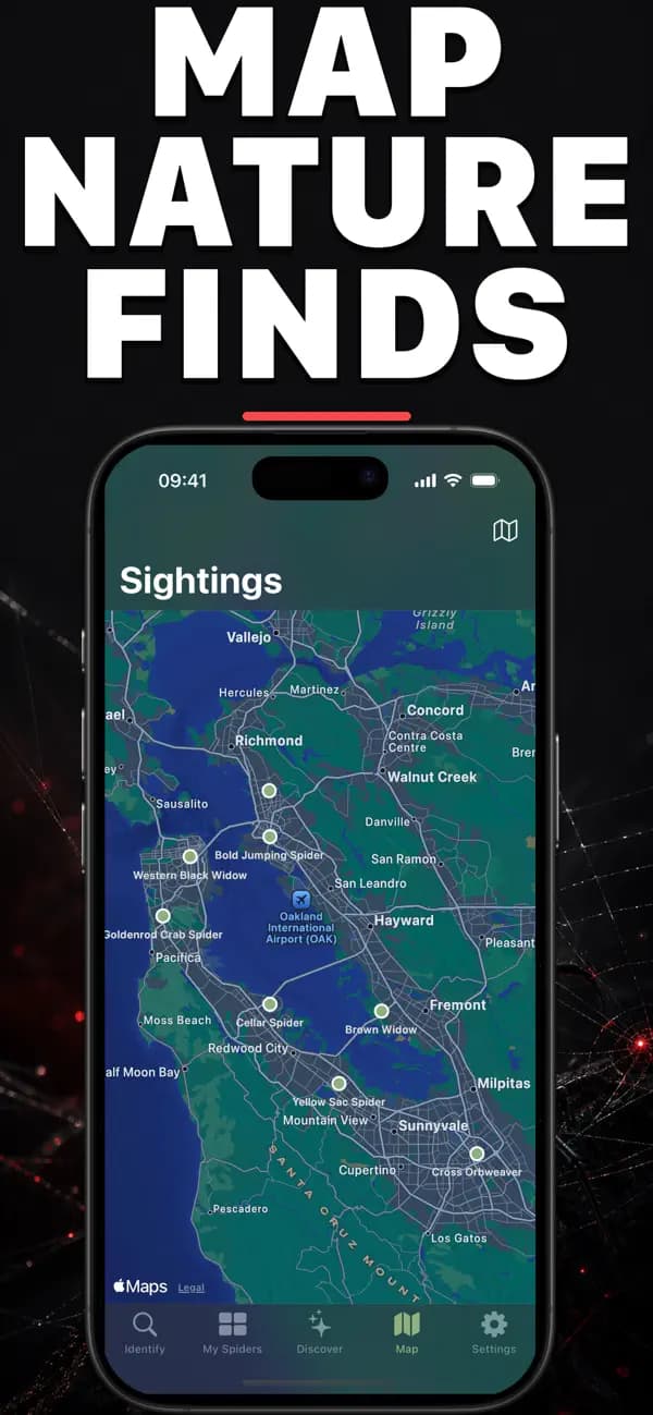 Spidr AI: Spider Identifier screenshot 4 — spider identification