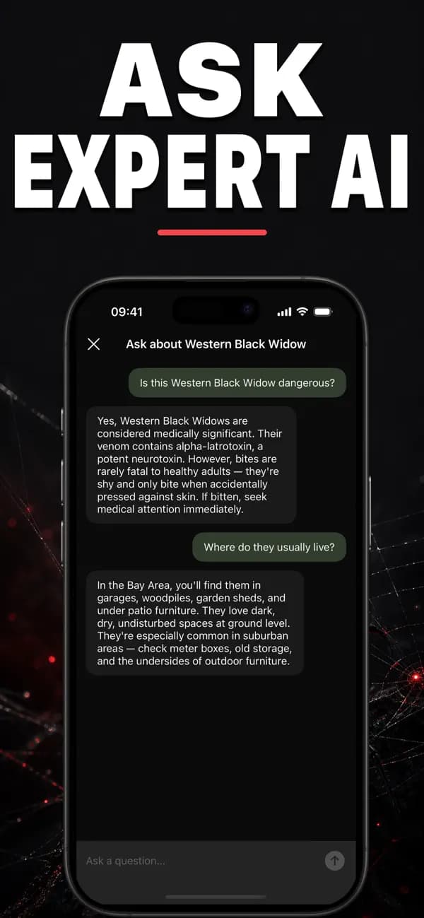 Spidr AI: Spider Identifier screenshot 5 — spider identification