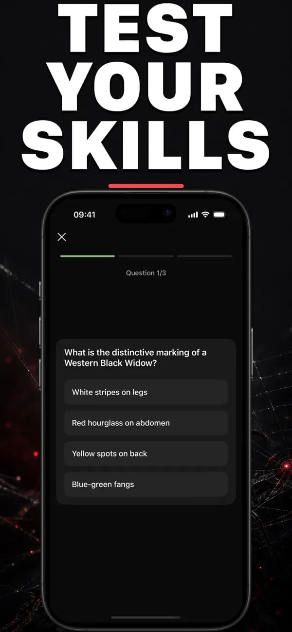 Spidr AI: Spider Identifier screenshot 6 — spider identification