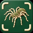 Spidr app icon