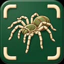 Spidr AI: Spider Identifier icon