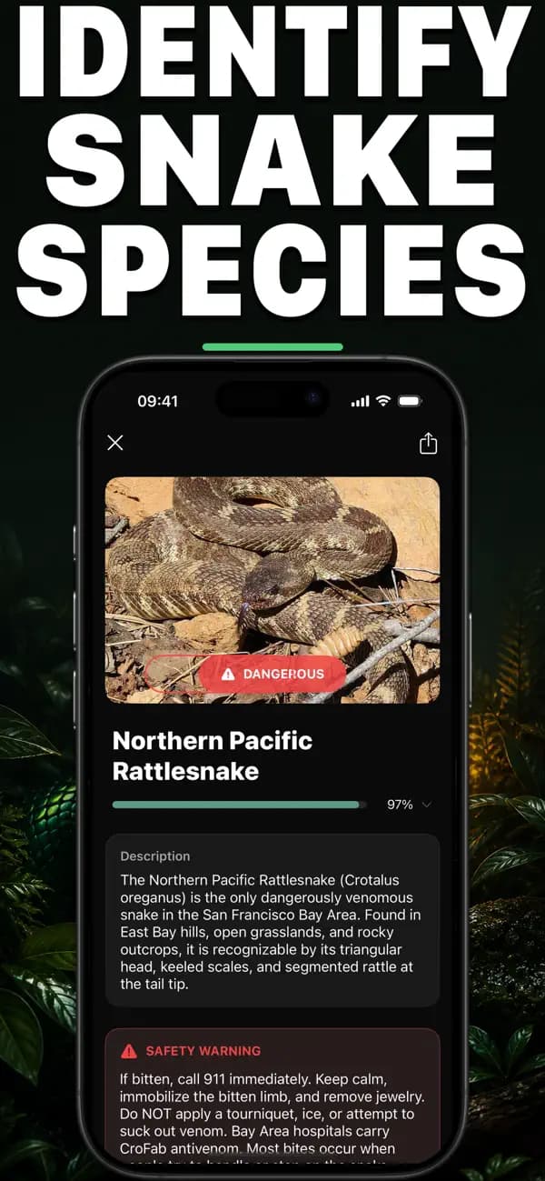 Vipr AI: Snake Identifier screenshot 1 — snake identification