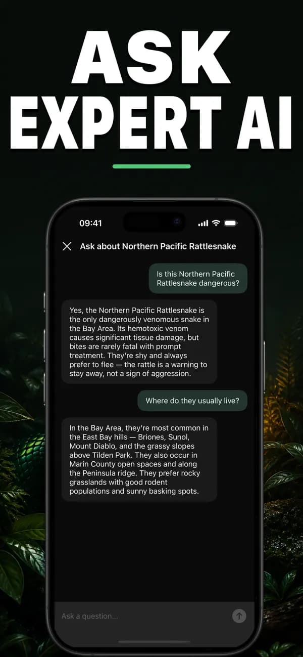 Vipr AI: Snake Identifier screenshot 5 — snake identification