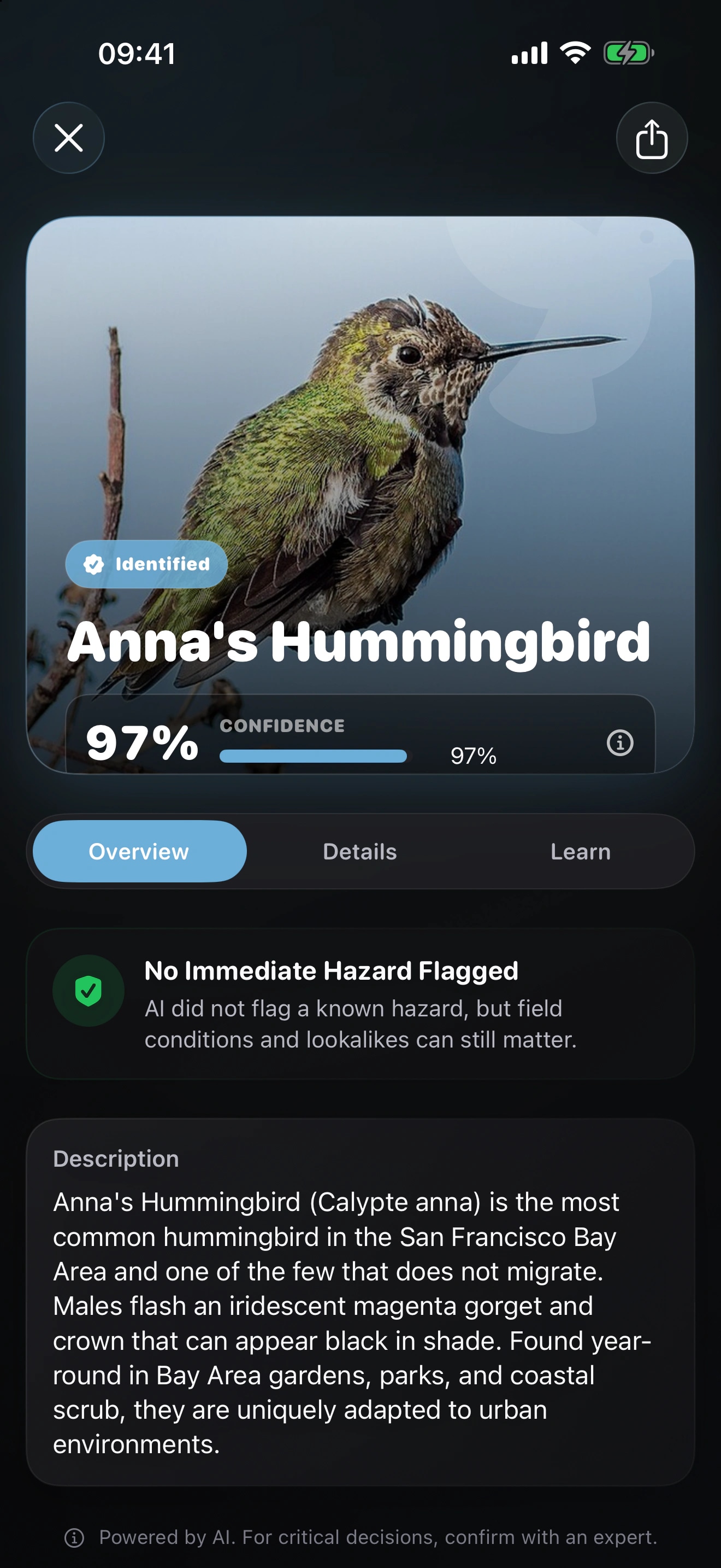 Birdr AI: Bird Identifier: Meet the likely species