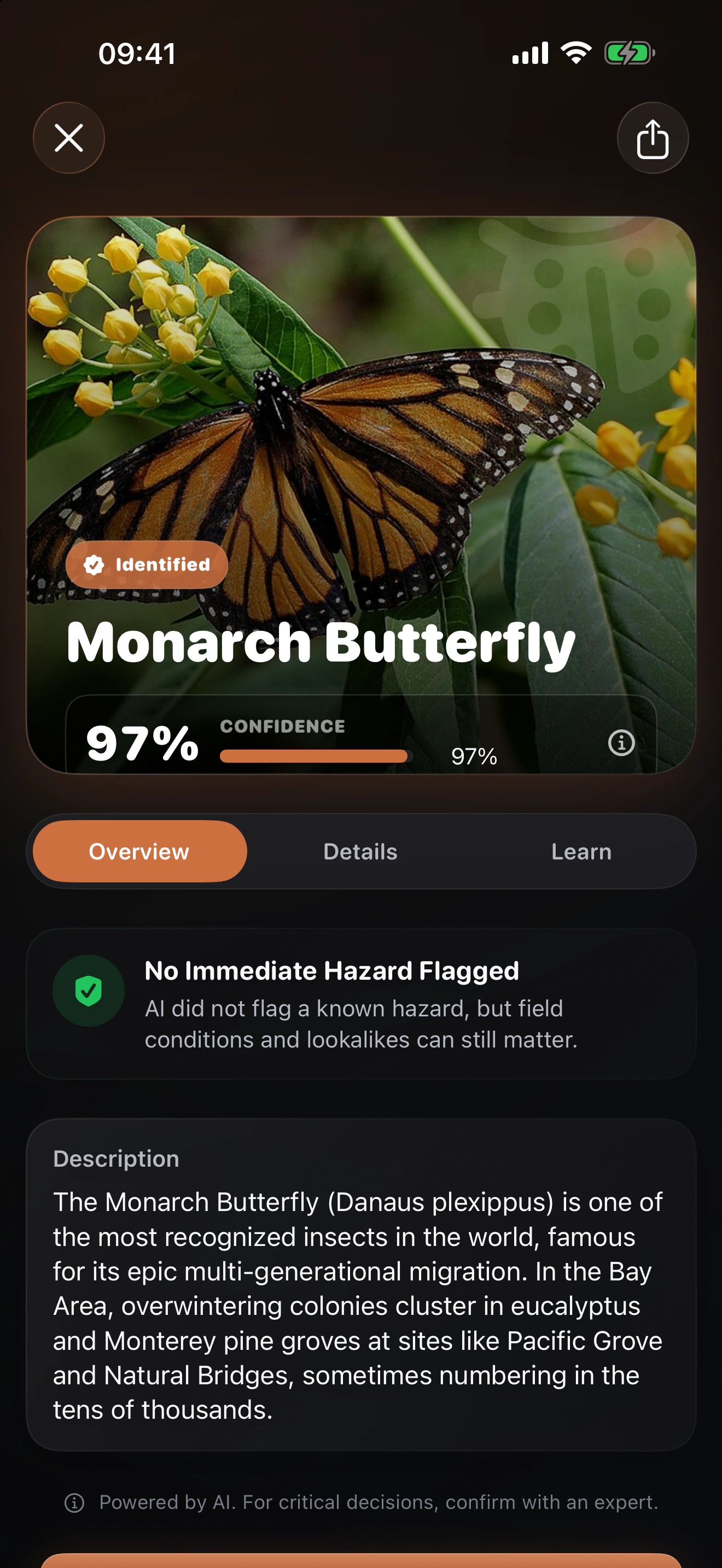 Bugo AI: Bug Identifier: Inspect the candidate