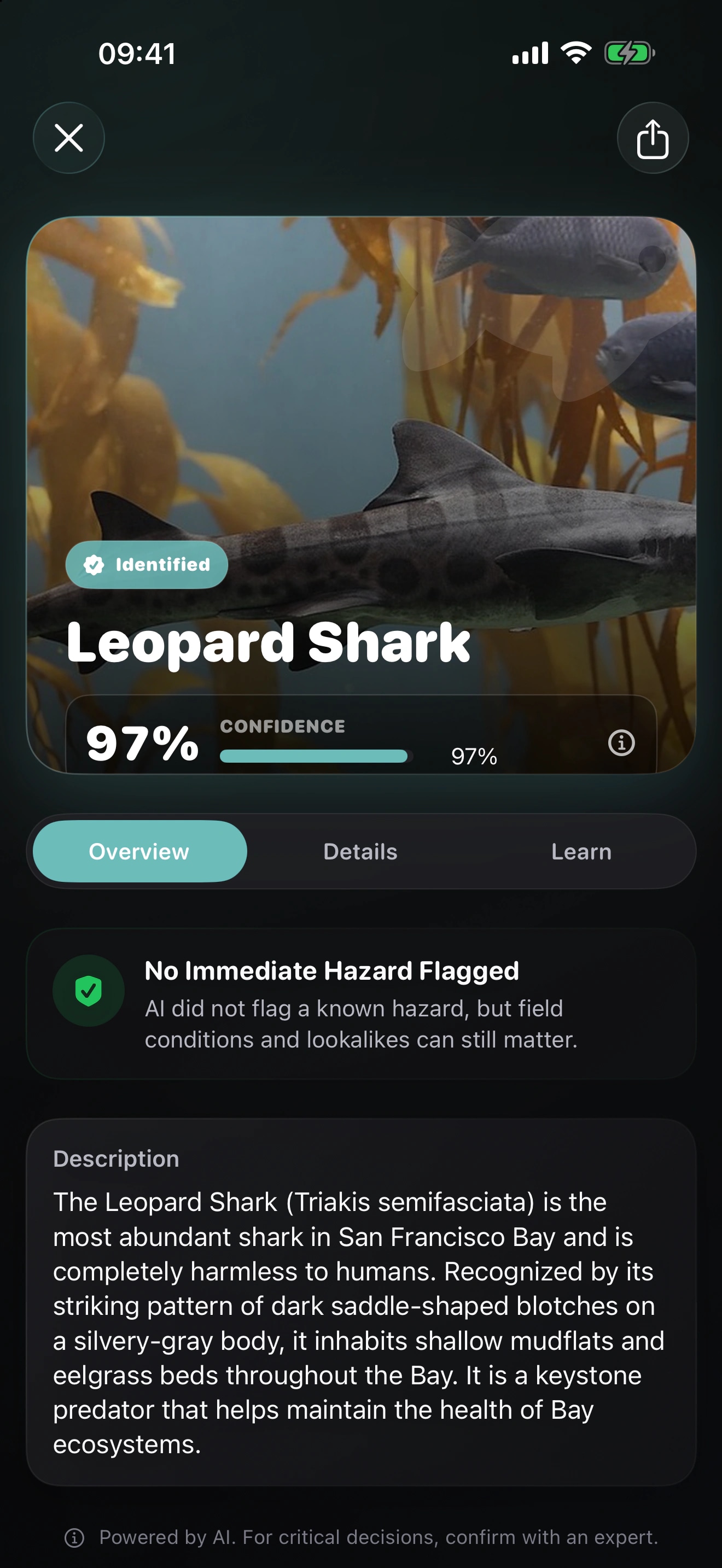 Fishr AI: Fish Identifier: Compare the fish