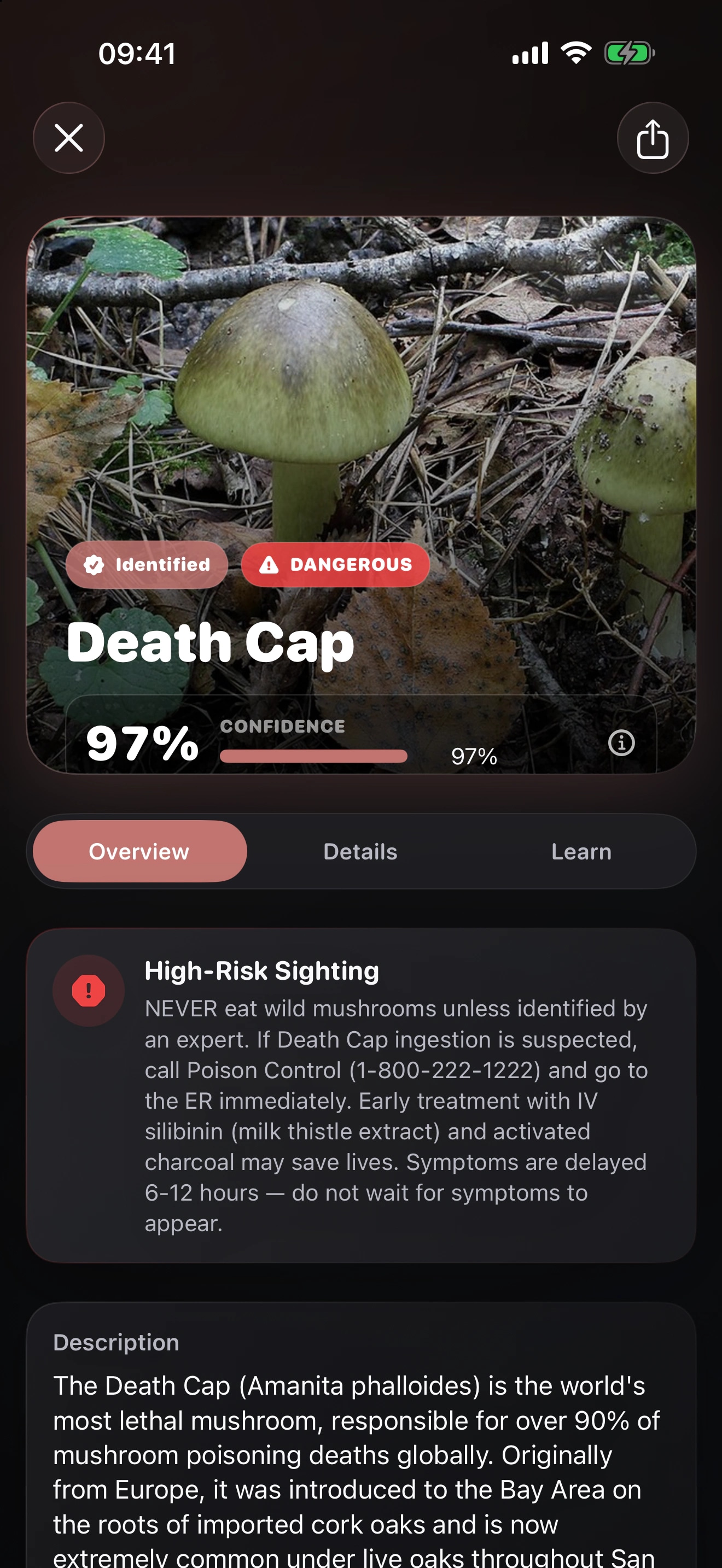 Foragr AI: Mushroom ID: Review the likely match