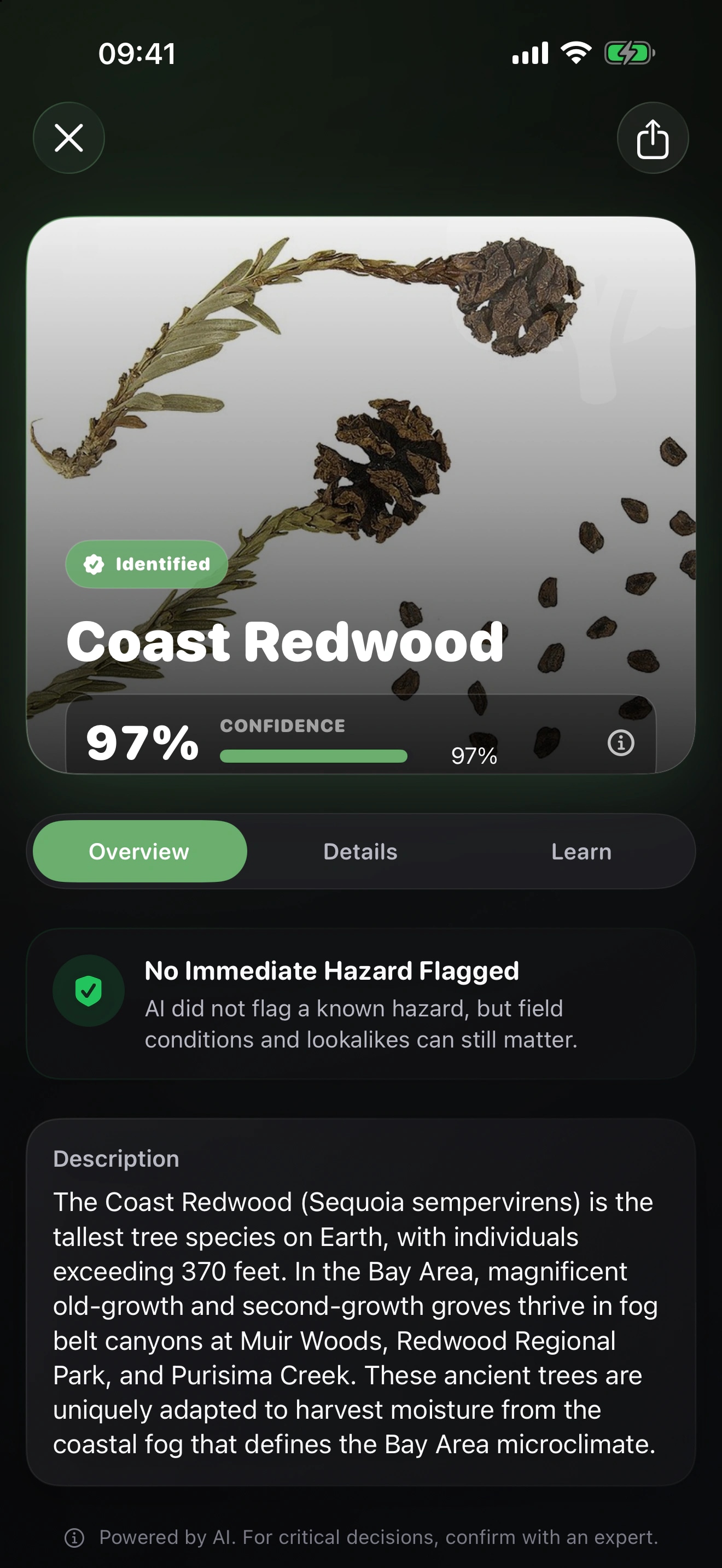 Leafr AI: Tree Identifier: Compare the tree