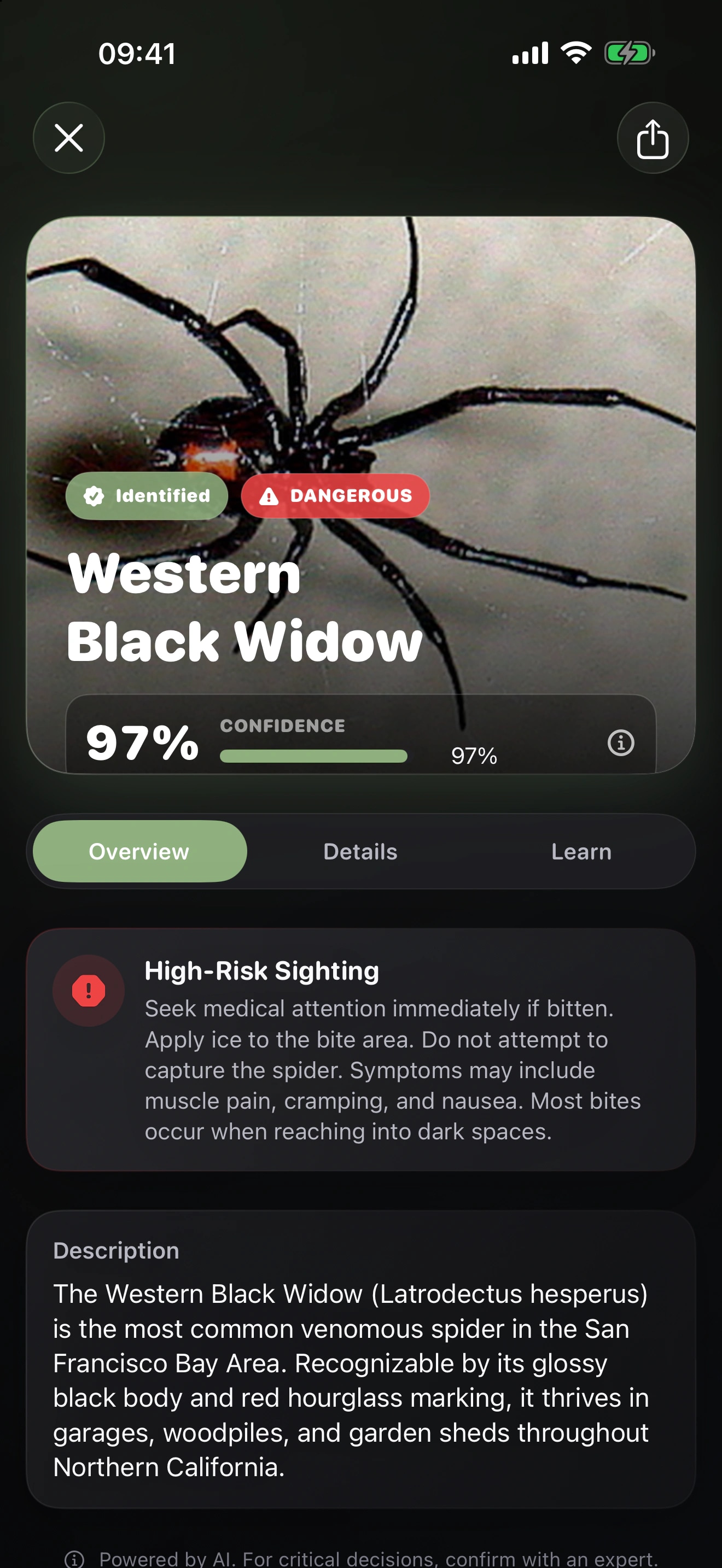 Spidr AI: Spider Identifier: Compare the spider