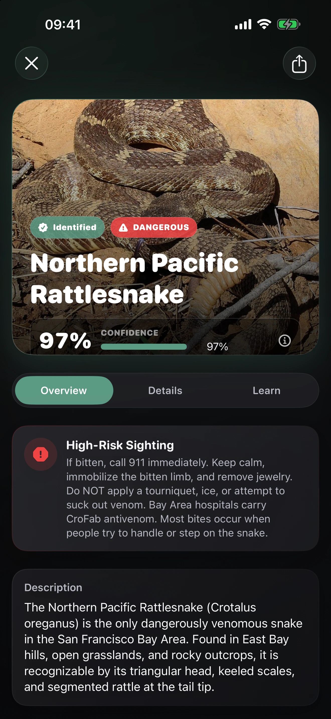 Vipr AI: Snake Identifier: Review the candidate