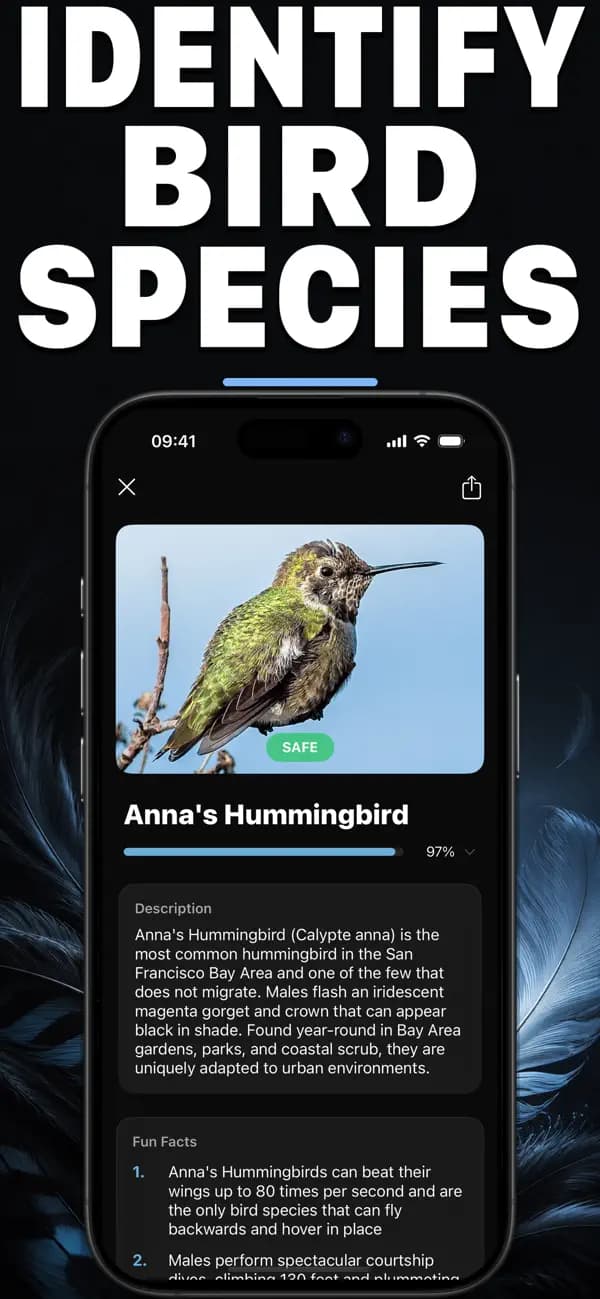 Birdr AI: Bird Identifier screenshot 1 — bird identification