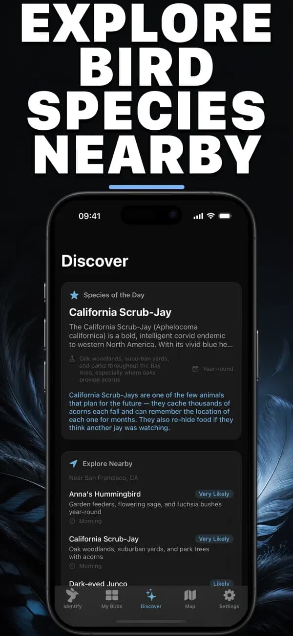 Birdr AI: Bird Identifier screenshot 3 — bird identification