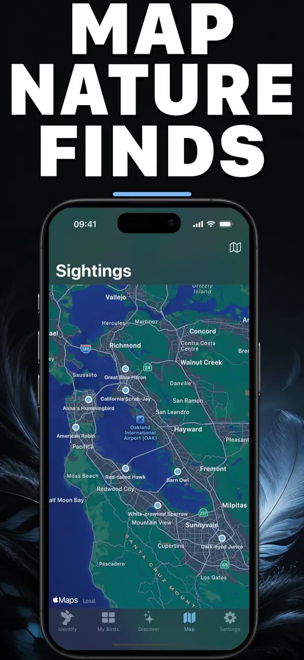 Birdr AI: Bird Identifier screenshot 4 — bird identification