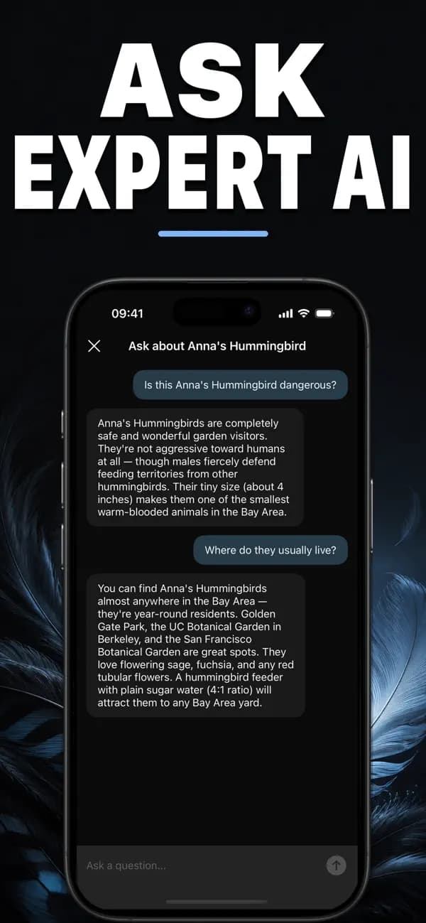Birdr AI: Bird Identifier screenshot 5 — bird identification