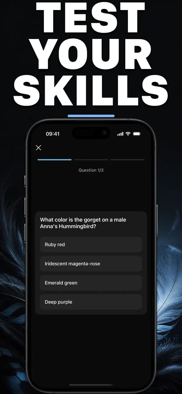 Birdr AI: Bird Identifier screenshot 6 — bird identification