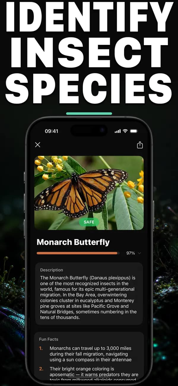 Bugo AI: Bug Identifier screenshot 1 — insect identification