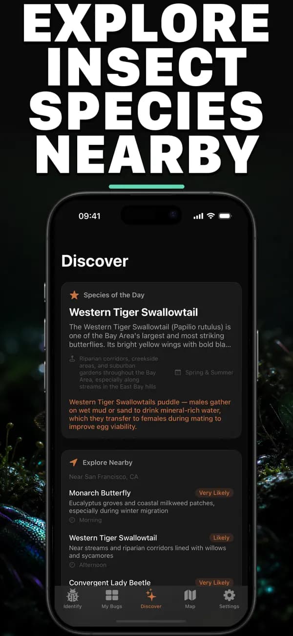 Bugo AI: Bug Identifier screenshot 3 — insect identification