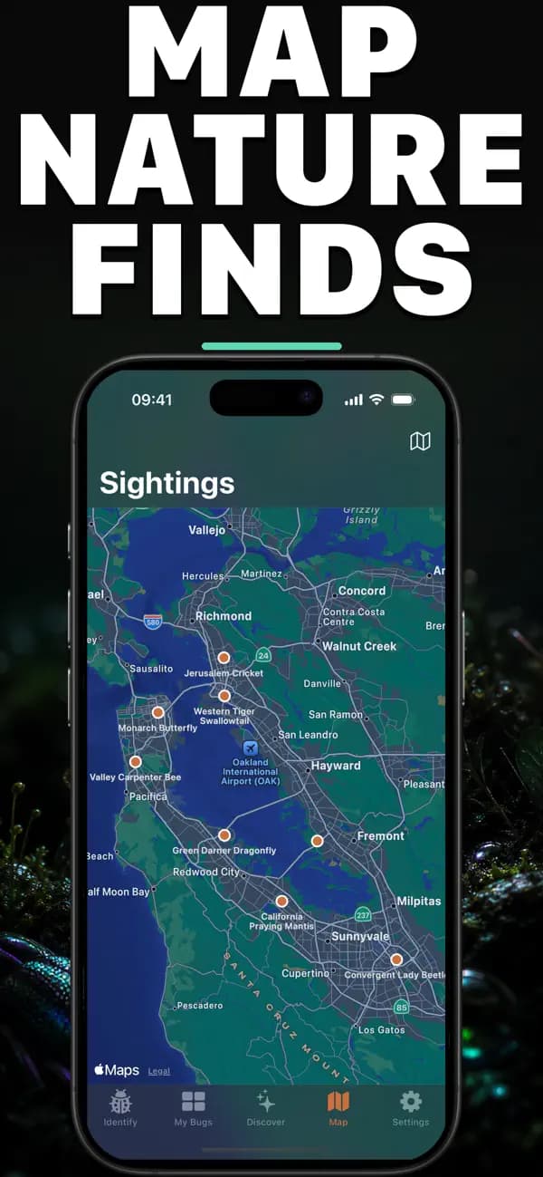 Bugo AI: Bug Identifier screenshot 4 — insect identification