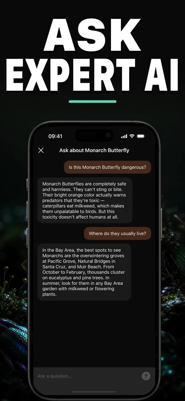 Bugo AI: Bug Identifier screenshot 5 — insect identification