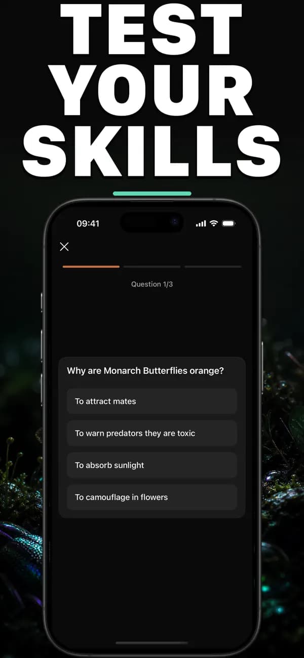 Bugo AI: Bug Identifier screenshot 6 — insect identification