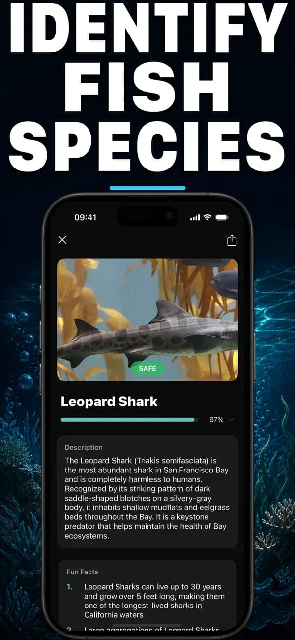Fishr AI: Fish Identifier screenshot 1 — fish identification