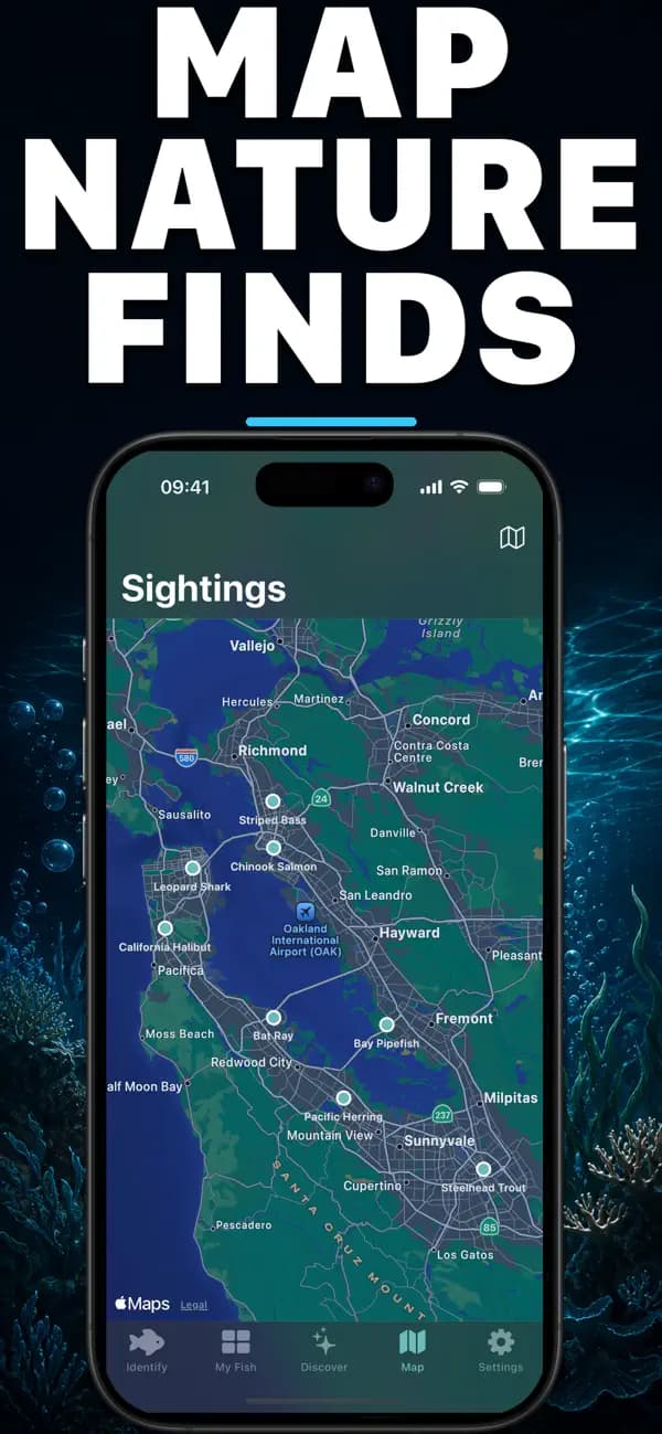 Fishr AI: Fish Identifier screenshot 4 — fish identification