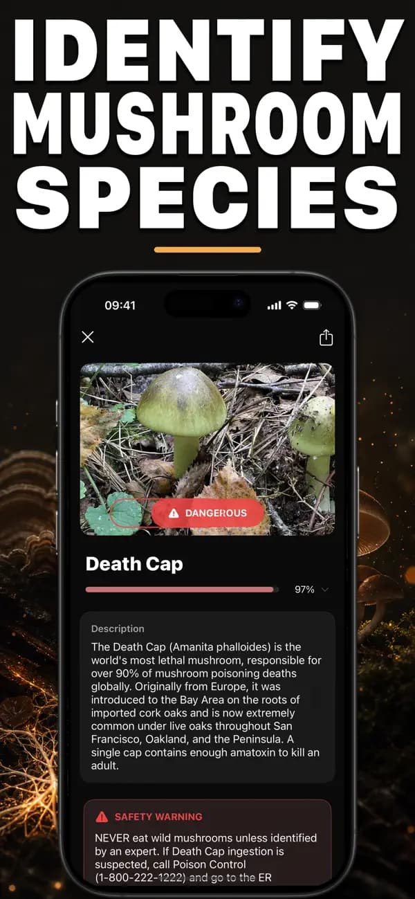 Foragr AI: Mushroom ID screenshot 1 — mushroom identification