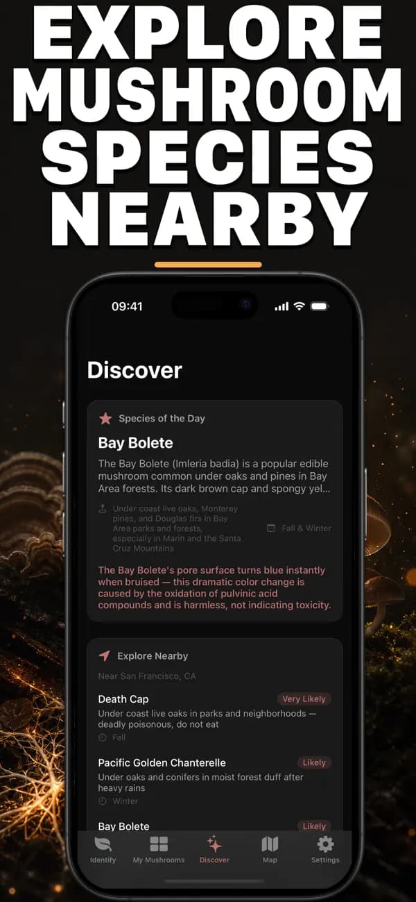 Foragr AI: Mushroom ID screenshot 3 — mushroom identification