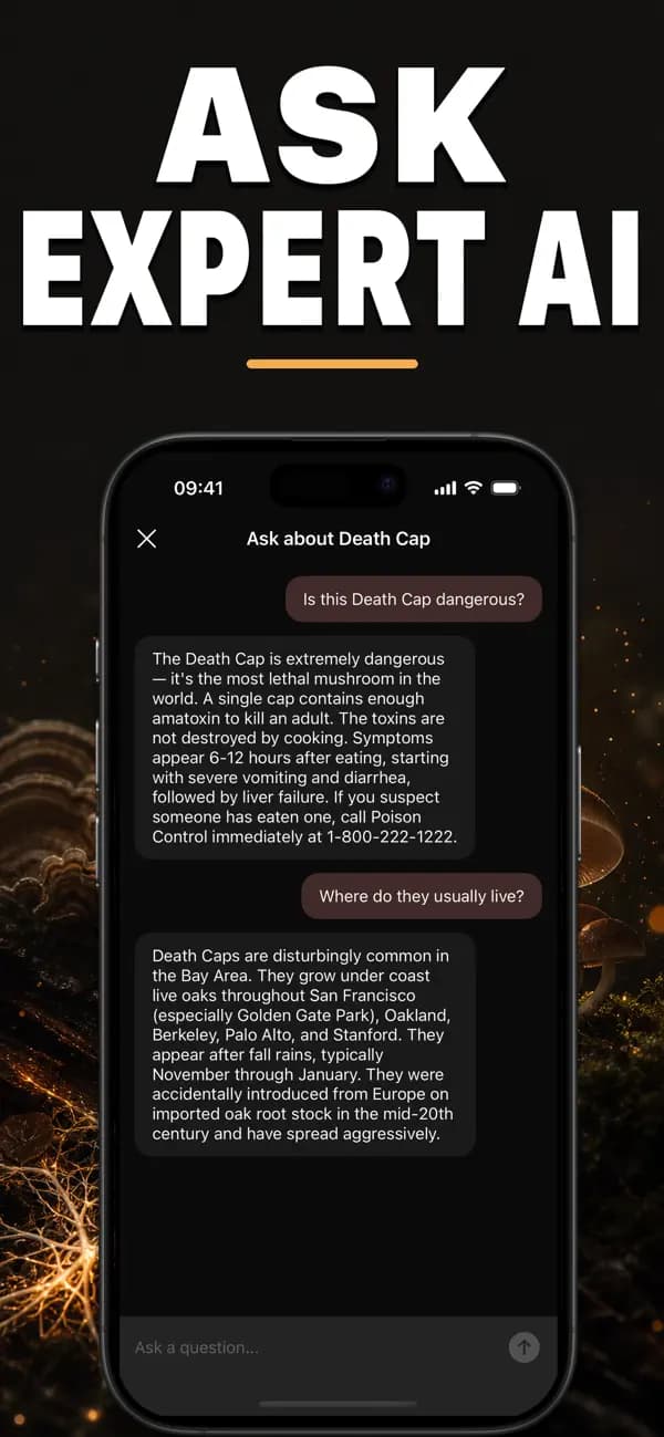Foragr AI: Mushroom ID screenshot 5 — mushroom identification