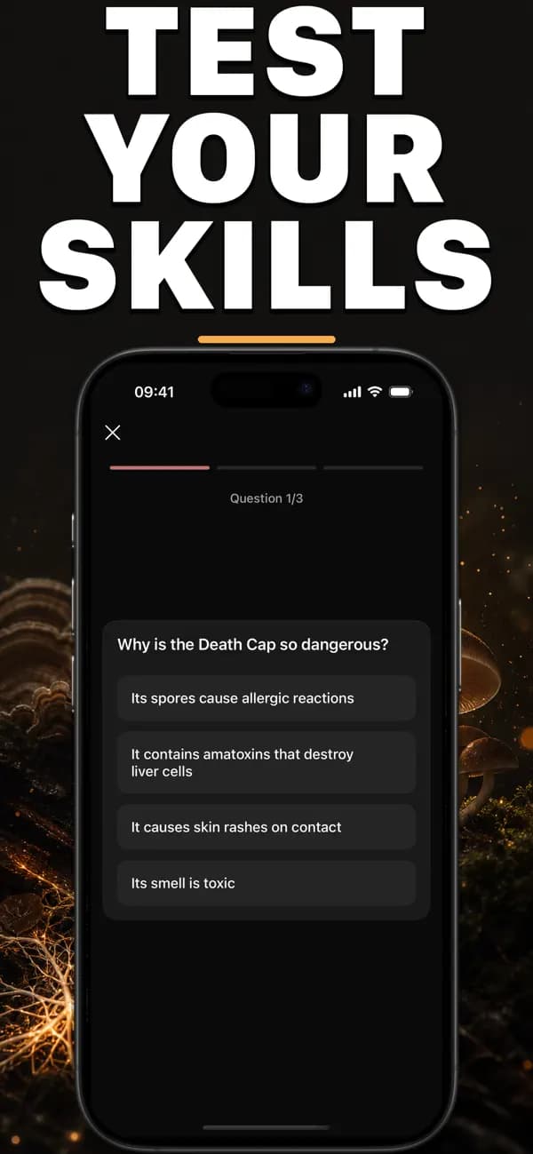 Foragr AI: Mushroom ID screenshot 6 — mushroom identification
