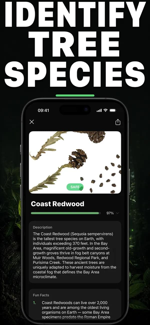 Leafr AI: Tree Identifier screenshot 1 — tree identification