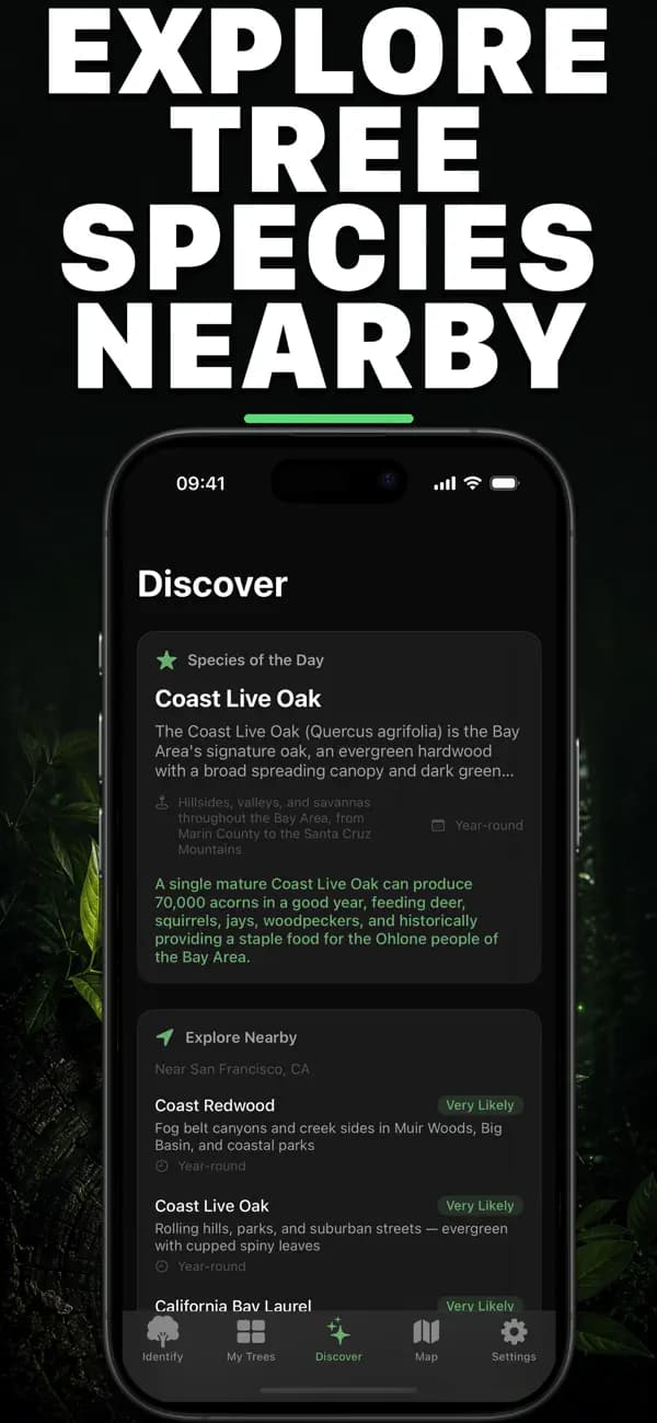 Leafr AI: Tree Identifier screenshot 3 — tree identification