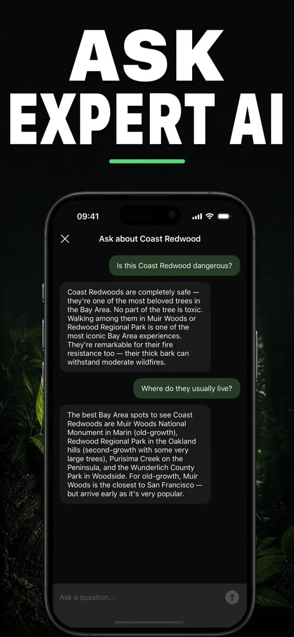 Leafr AI: Tree Identifier screenshot 5 — tree identification