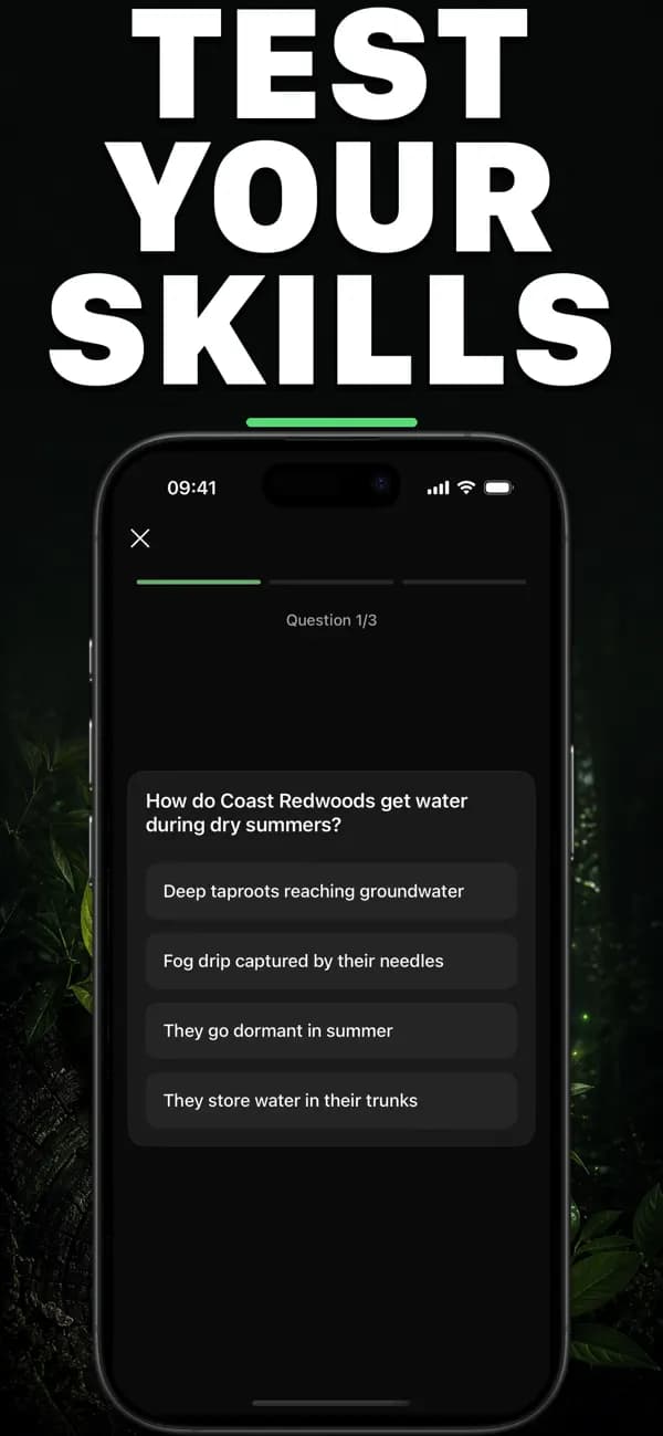 Leafr AI: Tree Identifier screenshot 6 — tree identification