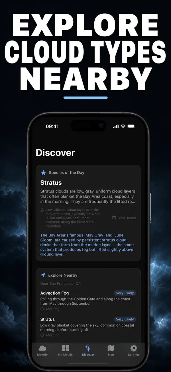 Nimbus AI: Cloud Identifier screenshot 3 — cloud identification