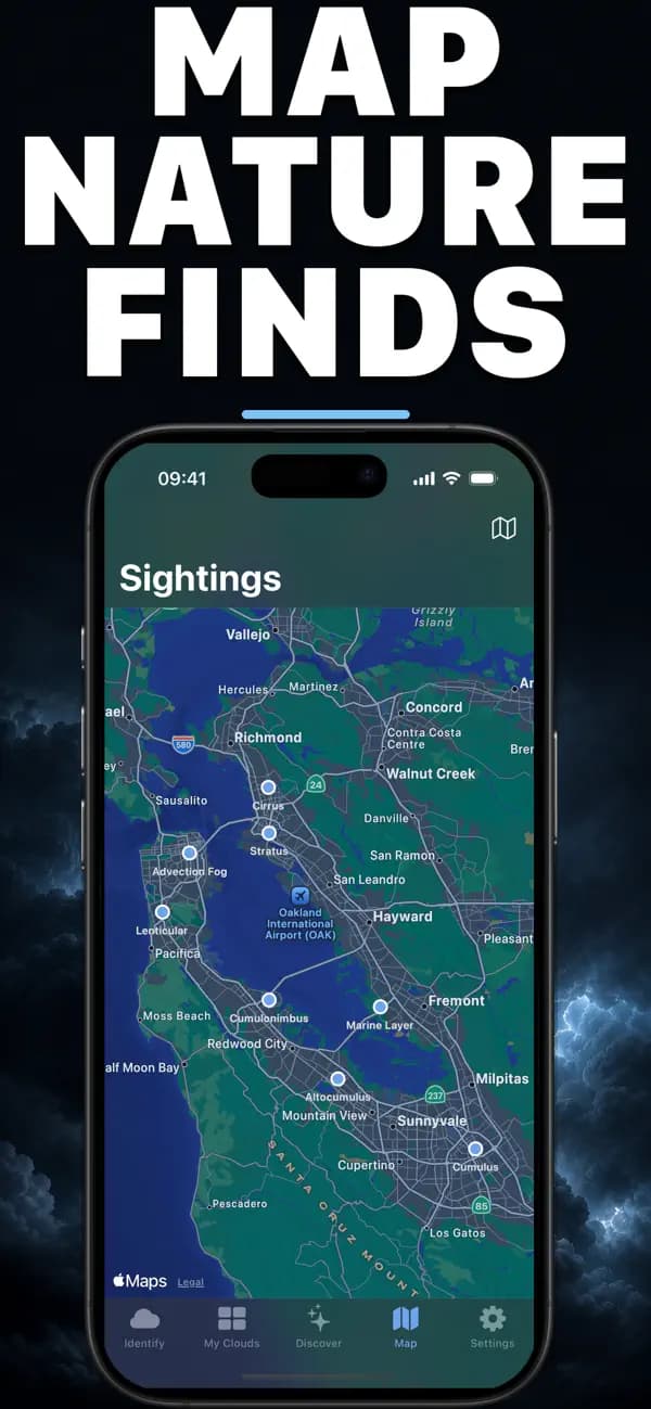 Nimbus AI: Cloud Identifier screenshot 4 — cloud identification