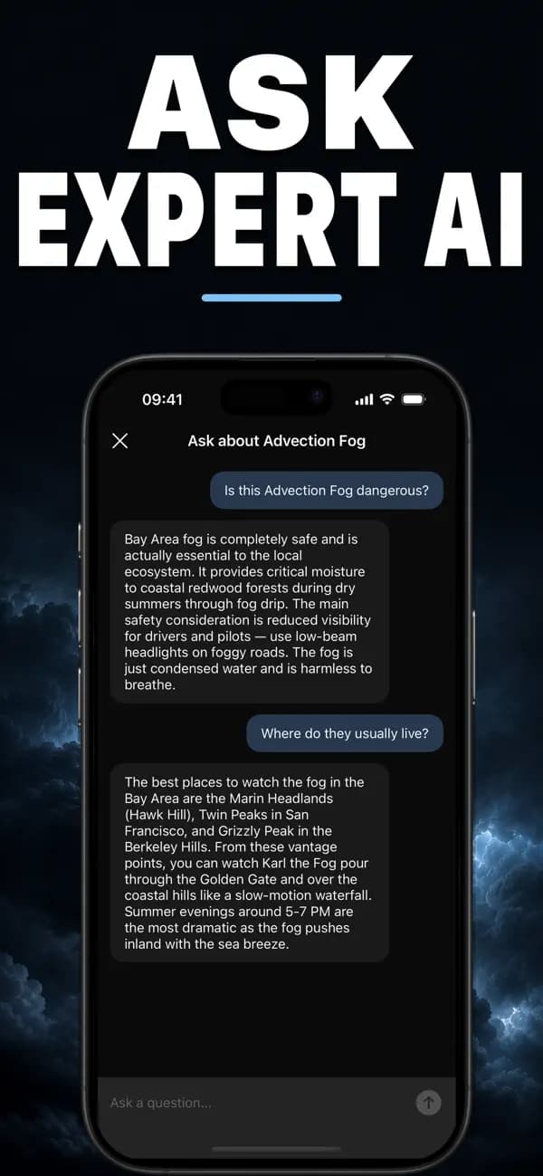 Nimbus AI: Cloud Identifier screenshot 5 — cloud identification