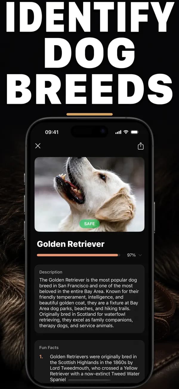 Pawz AI: Breed Identifier screenshot 1 — dog identification