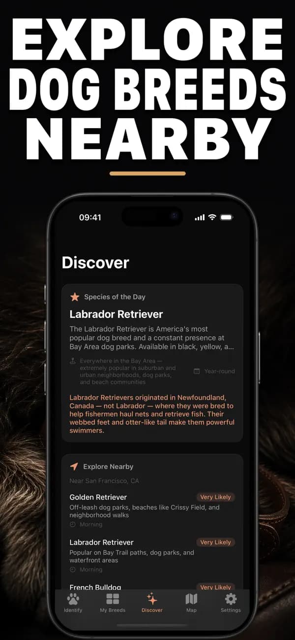Pawz AI: Breed Identifier screenshot 3 — dog identification