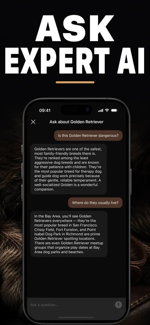 Pawz AI: Breed Identifier screenshot 5 — dog identification