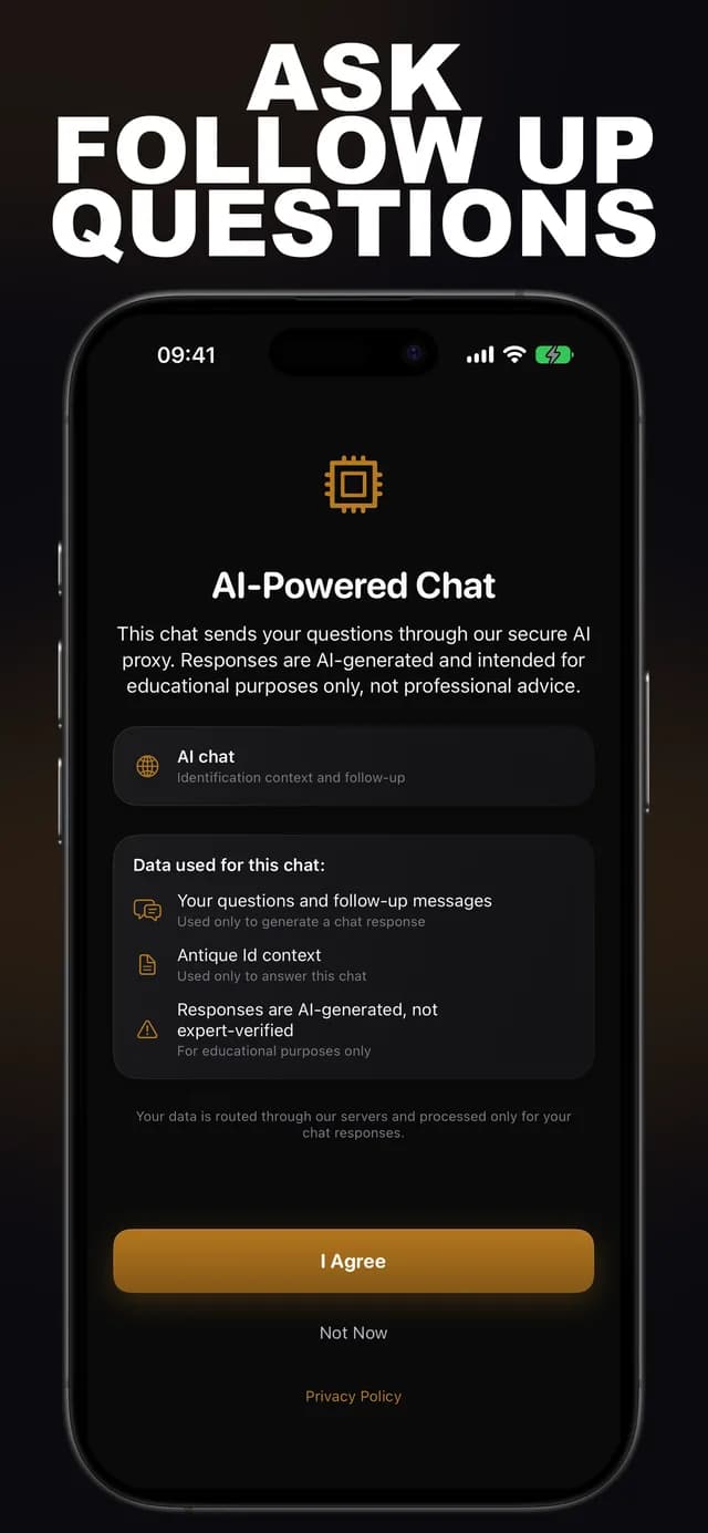 Relicr AI: Antique ID screenshot 5: antique identification